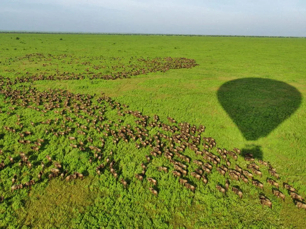 Serengeti Balloon Safari for Couples - couple travel inspiration