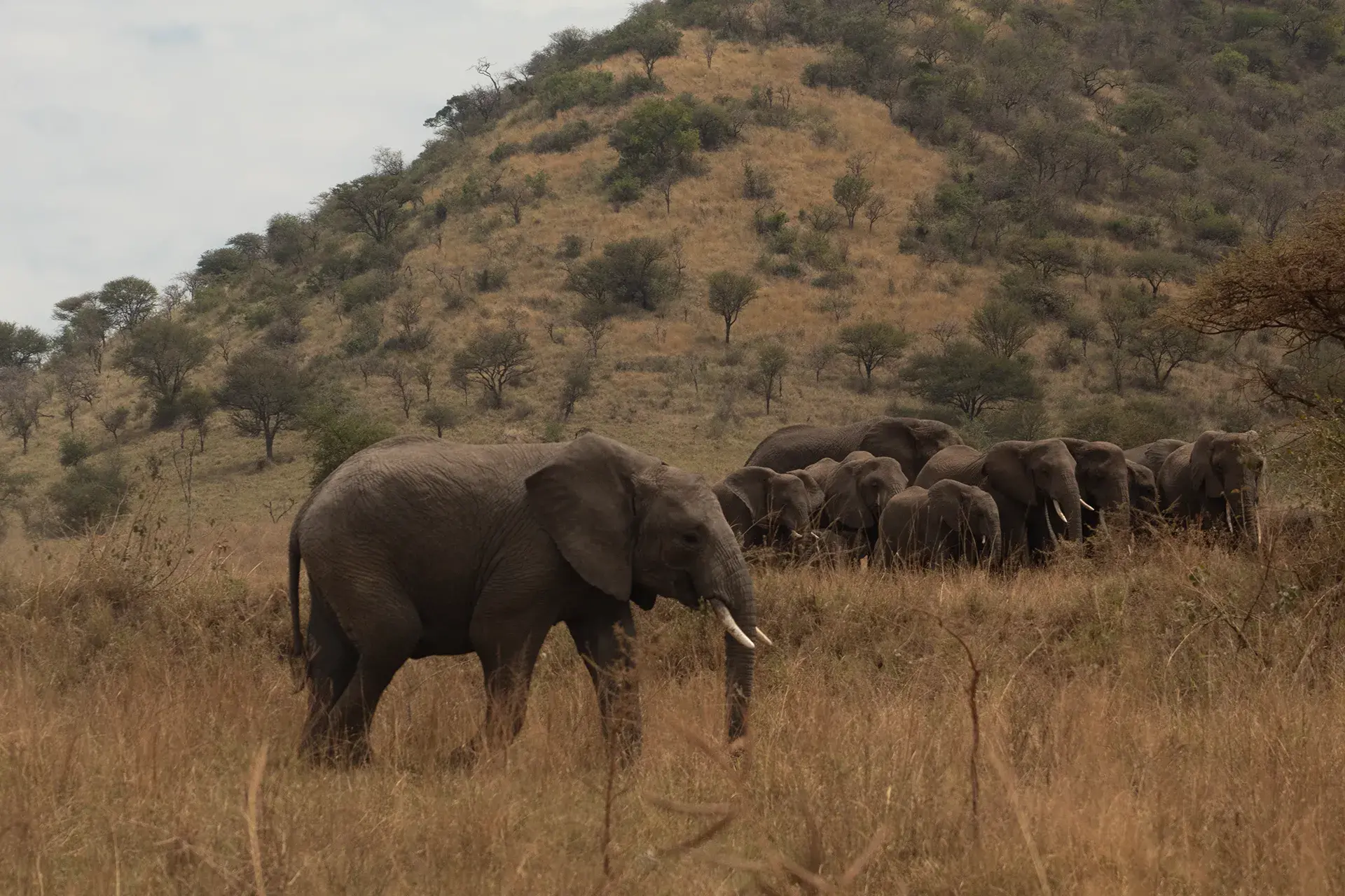 Best Time for a Tanzania Honeymoon - Season by Season Guide