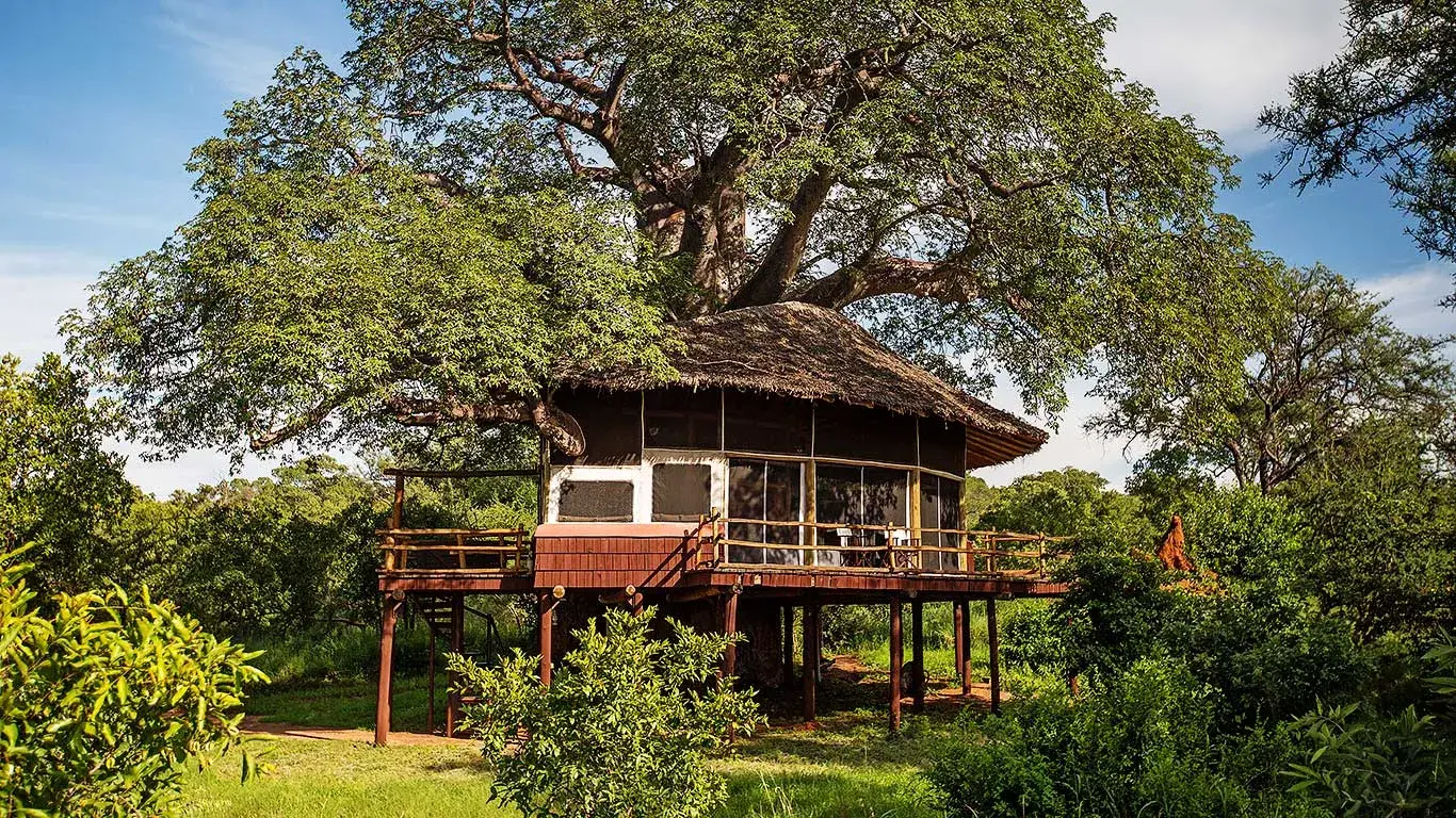 Tarangire Treetops Suite