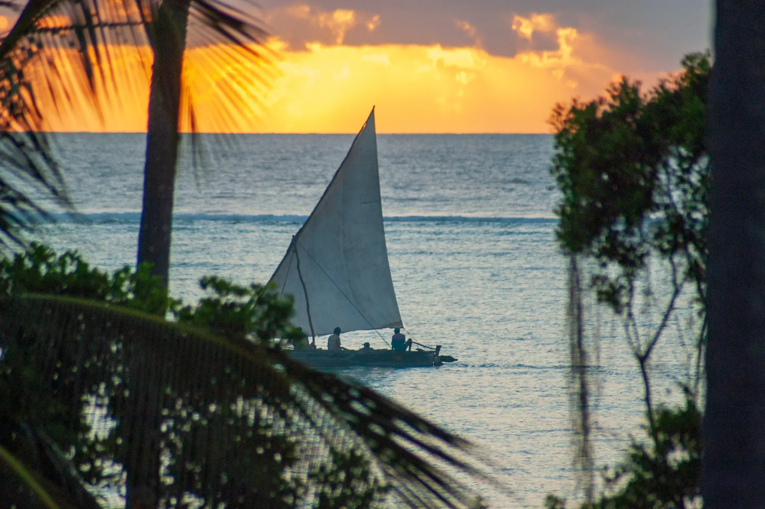 Sunset Dhow Cruise